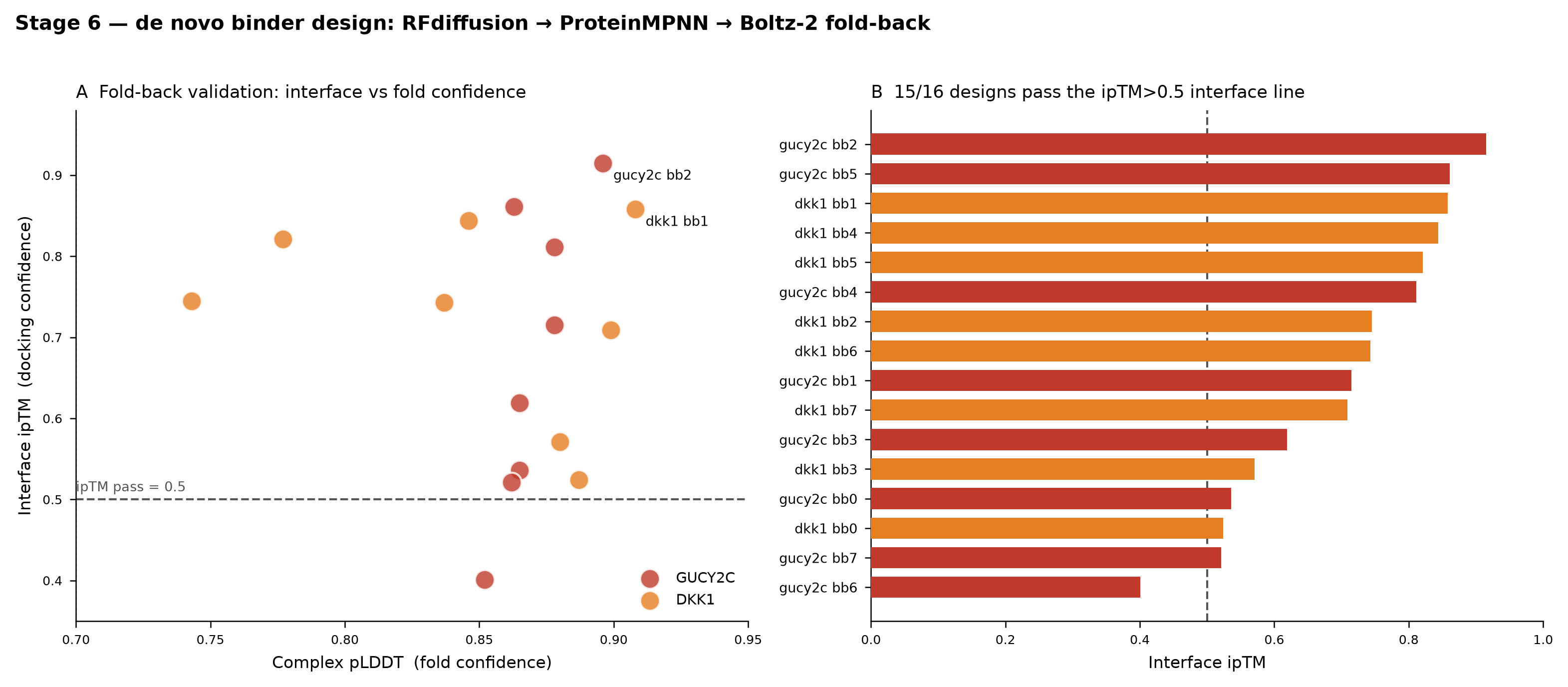 EAC de novo design results: GUCY2C lead gucy2c_bb2 ipTM 0.915 pLDDT 0.896; DKK1 lead dkk1_bb1 ipTM 0.858 pLDDT 0.908; 15 of 16 designs clear ipTM greater than 0.5