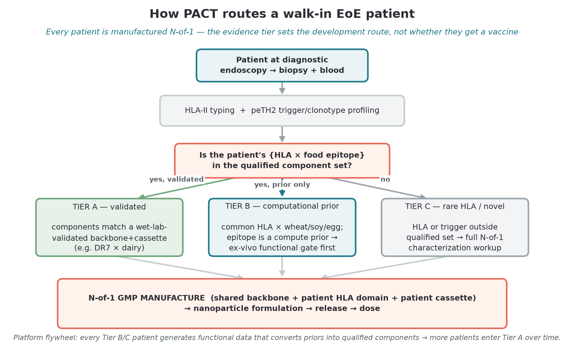 Decision tree showing how the PACT engine routes an individual EoE patient: from diagnostic biopsy and blood through HLA-II typing and trigger profiling to one of three manufacturing tiers, all converging on an N-of-1 nanoparticle product