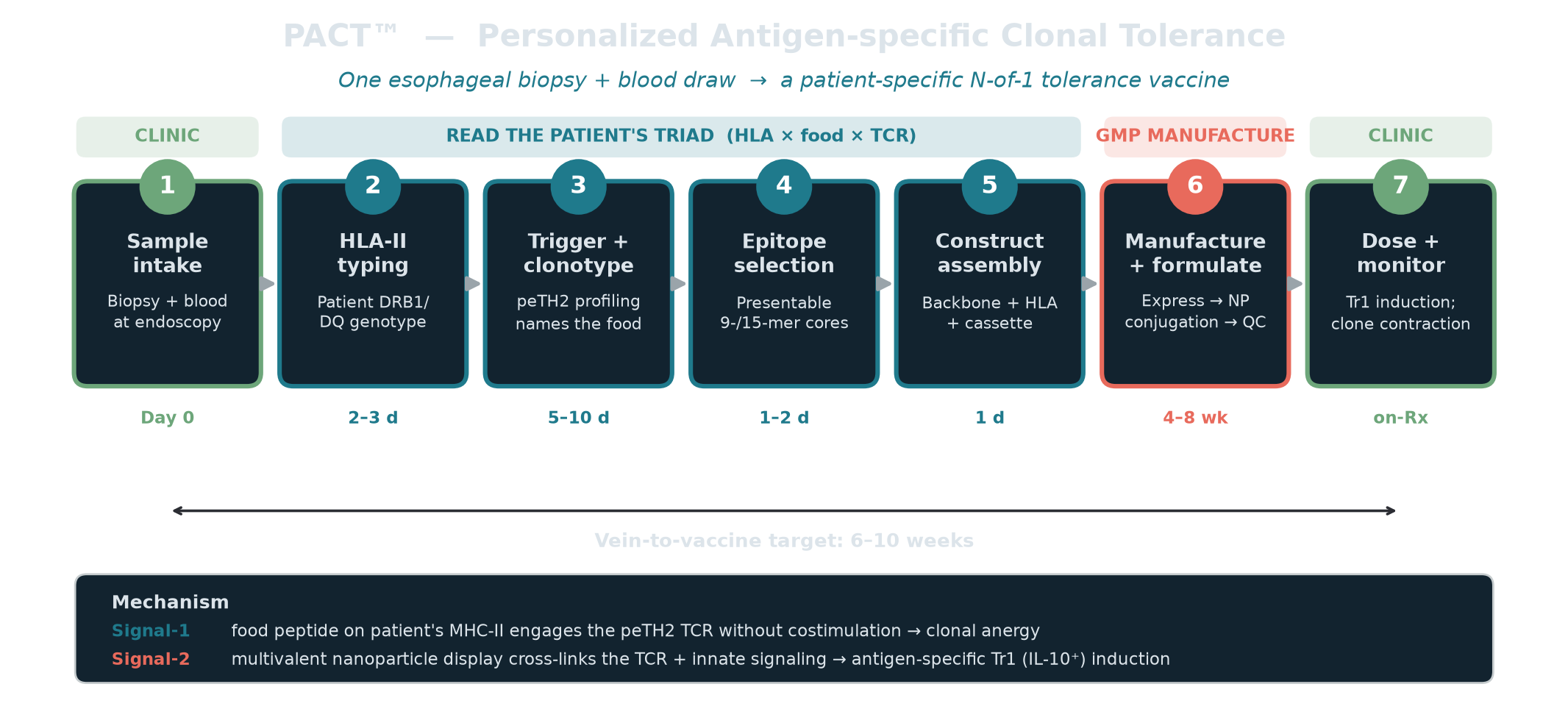 PACT platform: from an esophageal biopsy and blood draw through HLA typing, trigger profiling, epitope selection, construct assembly, GMP manufacture, to dosing