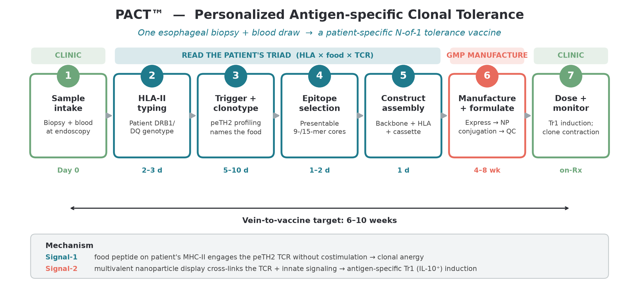 PACT platform: from an esophageal biopsy and blood draw through HLA typing, trigger profiling, epitope selection, construct assembly, GMP manufacture, to dosing