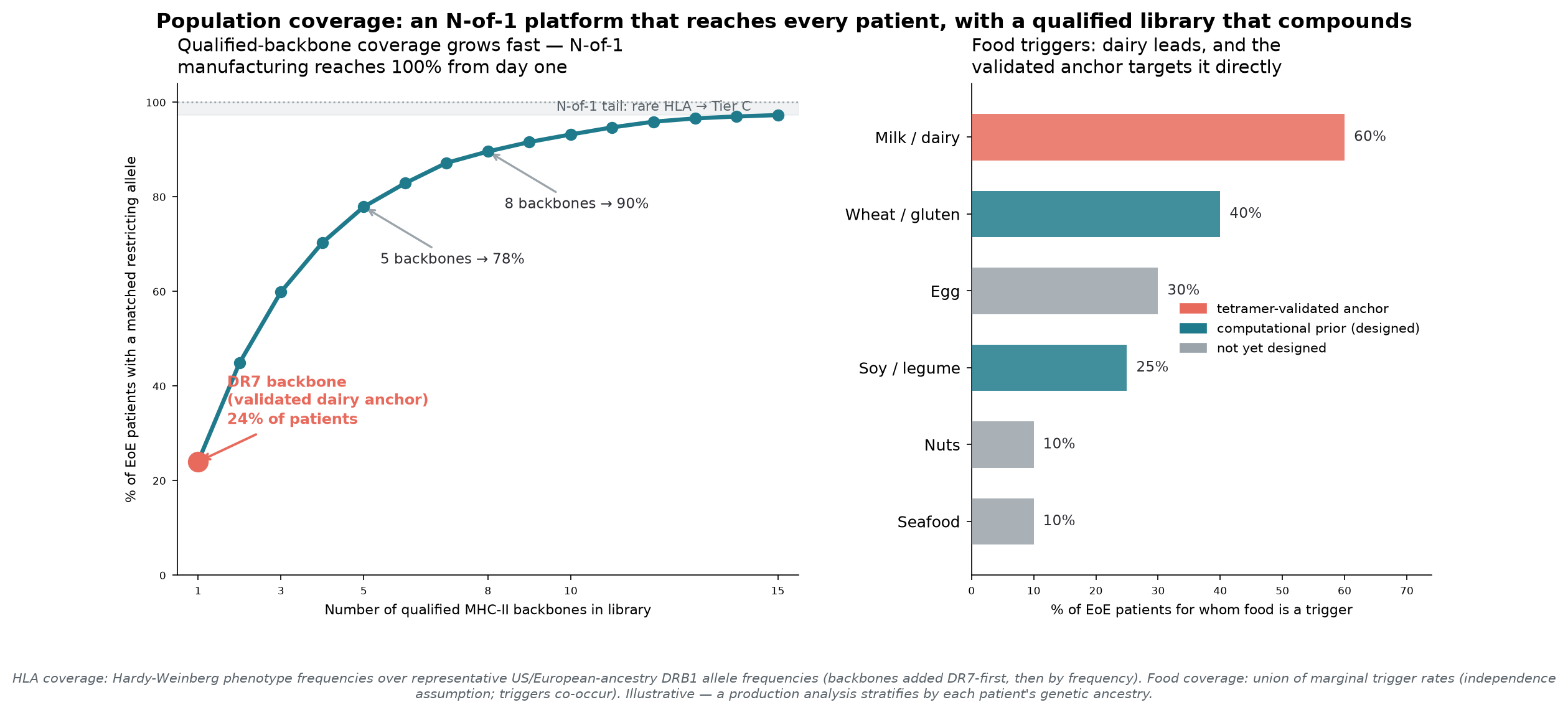 Two panels: left, a curve showing qualified-backbone HLA coverage rising from 24% with one backbone to over 97% with fifteen; right, a bar chart of EoE food triggers with dairy the most common and the tetramer-validated anchor targeting it directly