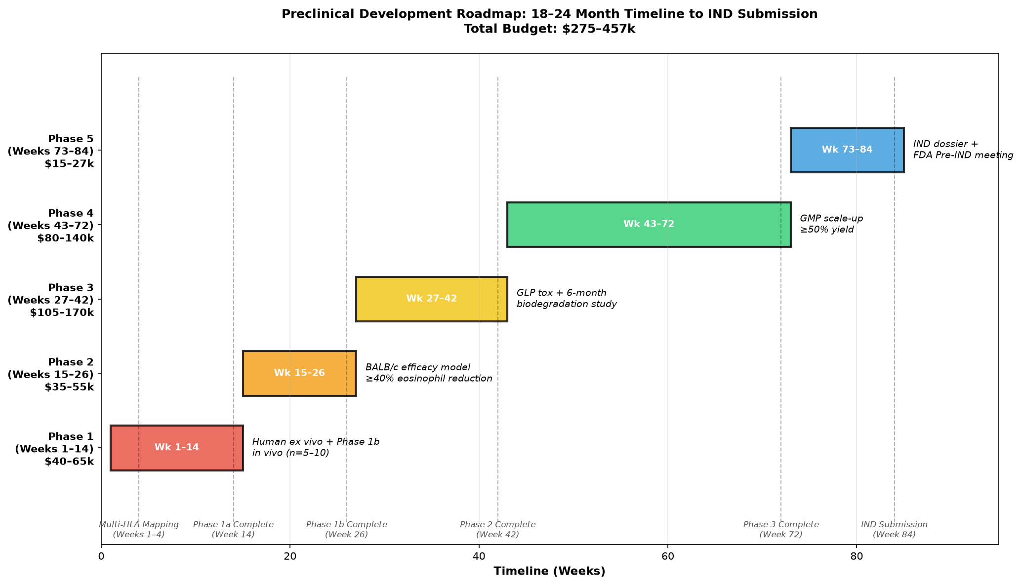 Preclinical development roadmap: five phases over an 18-24 month timeline to IND submission