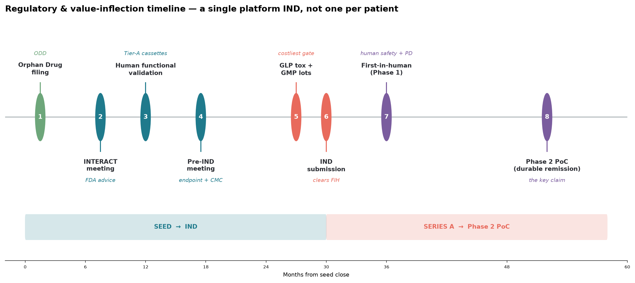 Regulatory and value-inflection timeline: Orphan Drug filing, INTERACT and Pre-IND meetings, GLP tox and GMP lots, IND submission, first-in-human, and Phase 2 proof-of-concept